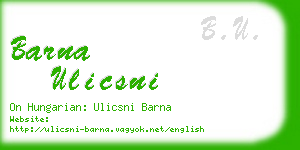 barna ulicsni business card